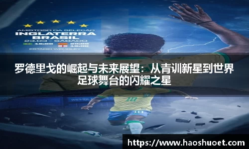 蓝狮在线平台