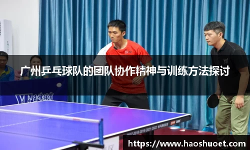 蓝狮在线官网