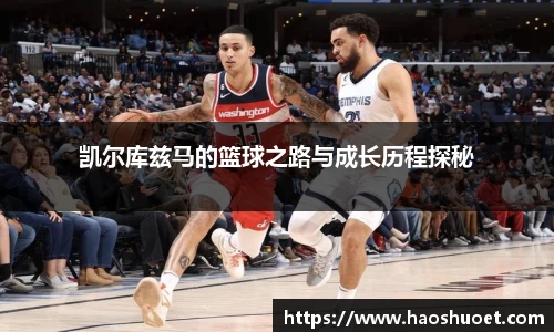 蓝狮在线
